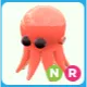 NR Octopus