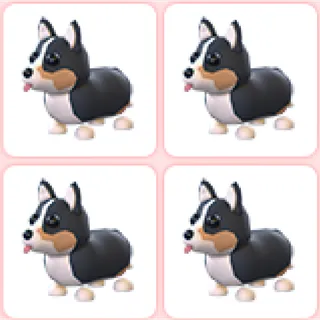 4x Royal Corgi