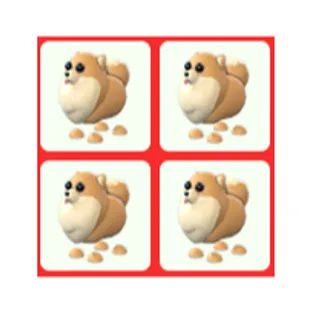 4x Pomeranian