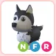 NFR Husky