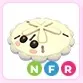 NFR White Sand Dollar