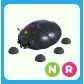NR Giant Black Scarab