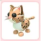 Leopard Cat