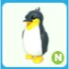 N King Penguin
