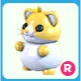 R Golden Hamster