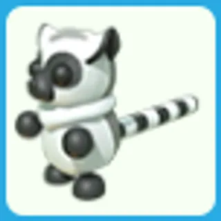 Ring-tailed Lemur