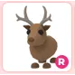 R Reindeer