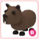 R Capybara