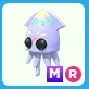 MR Squid