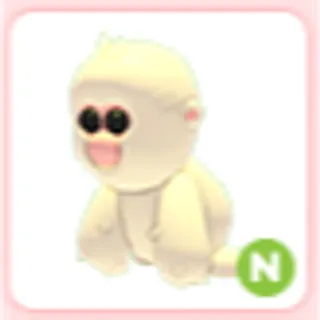 N Snow Monkey