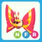 NFR Rosy Maple Moth