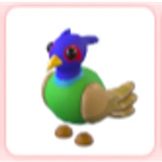 Green-Chested Pheasant