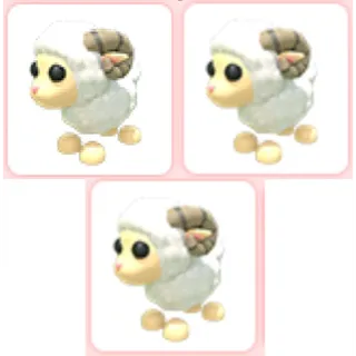 3x Ram