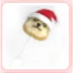 Other | Christmas Doge Rattle