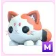 M Mochi Meow