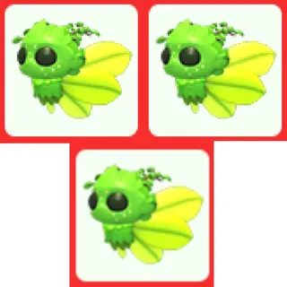 3x Gaelic Fae