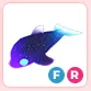 FR Glormy Dolphin