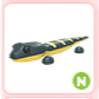 N salamander