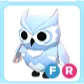 FR Snow Owl