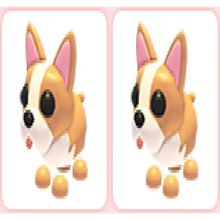 2x French Bulldog