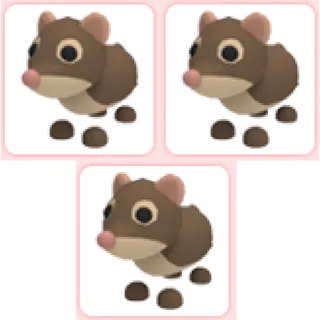 3x Shrew