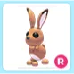 R Hare