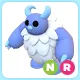 NR Yeti