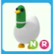NR Silly Duck