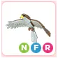 NFR Hawk