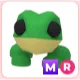 MR Frog