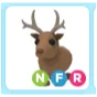 NFR Reindeer