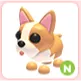 N French Bulldog