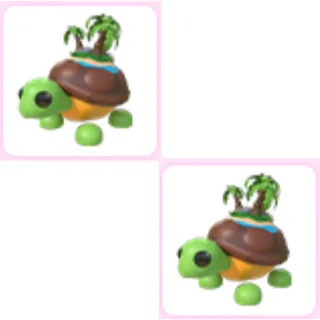 2x Tortuga De La Isla