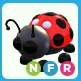 NFR Ladybug