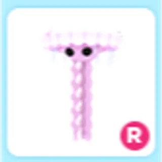 R Jellyfish