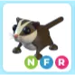 NFR Sugar Glider