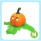 N Pumpkin Friend