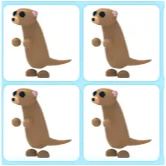4x Meerkat