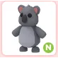 N Koala