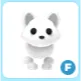 F Arctic Fox