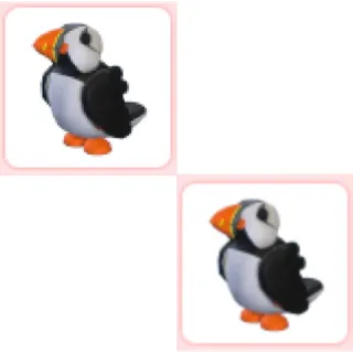 2x Puffin