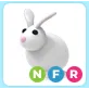 NFR Rabbit