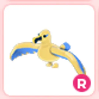 R Golden Albatross