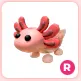 R Axolotl