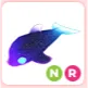 NR Glormy Dolphin