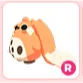 R Cabbit