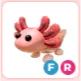 FR Axolotl