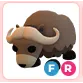 FR Musk Ox