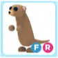 FR Meerkat