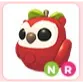 NR Apple Owl